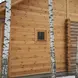 Планкен лиственница прямой 20*142*4000, сорт Прима (0,568м2)